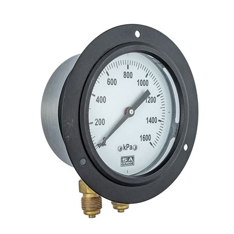 Gauge FAQ .